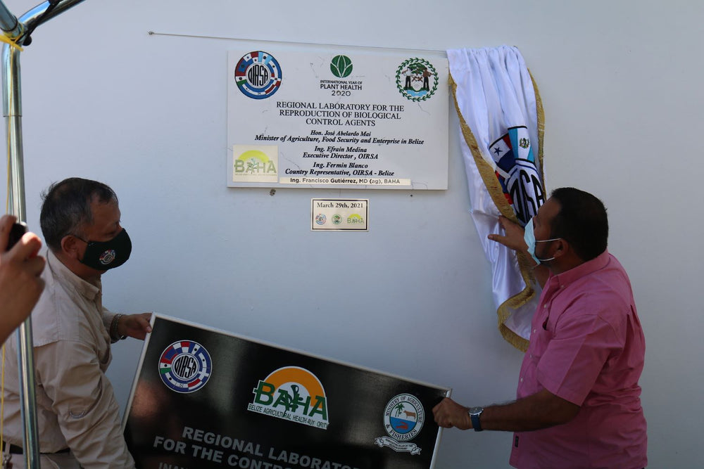 Belize Minister of Agriculture visits hydroponics operation