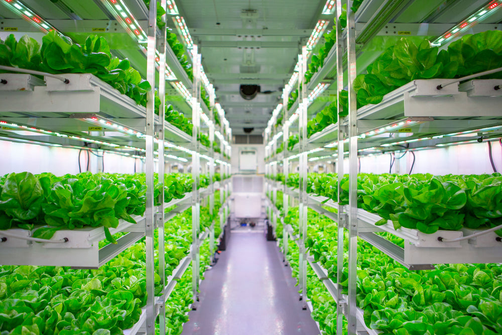 Hydroponics Market to be Worth $35.4 Billion by 2030 - Exclusive Report by Meticulous Research®