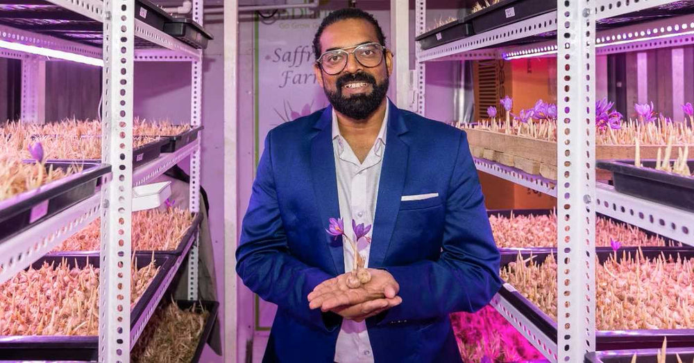 Indian Man Grows Precious Saffron In a Shipping Container–Wants to Share His Hydroponic Technique With Others